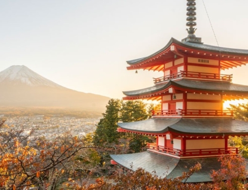 Let’s Tokyo! WestJet bolsters connectivity between Calgary and Japan with new daily year-round service